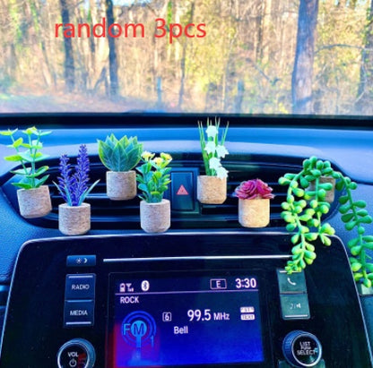 Mini Plant Face Fragrance Accessories