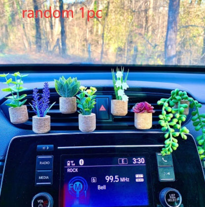 Mini Plant Face Fragrance Accessories